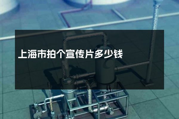 上海市拍个宣传片多少钱