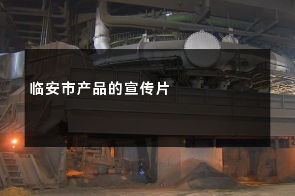 临安市产品的宣传片