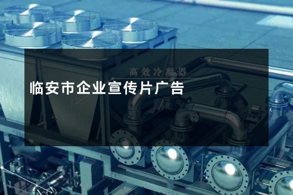 临安市企业宣传片广告