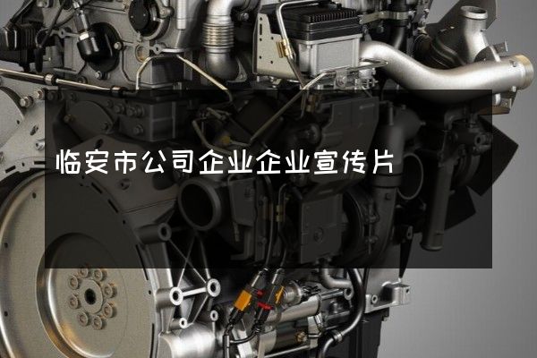 临安市公司企业企业宣传片