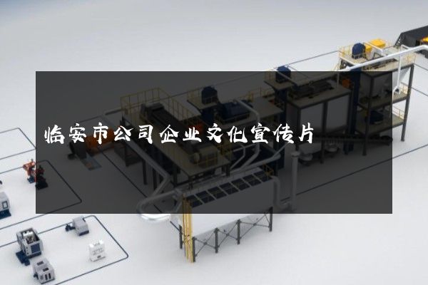 临安市公司企业文化宣传片