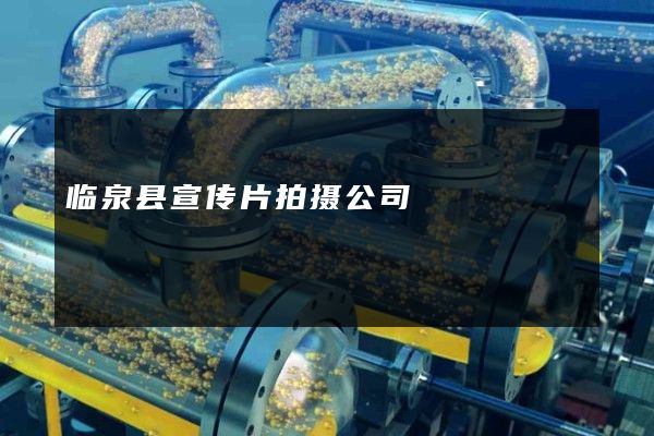 临泉县宣传片拍摄公司