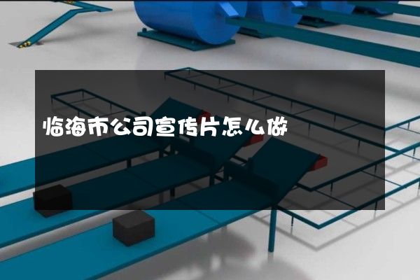 临海市公司宣传片怎么做
