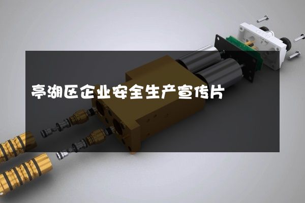 亭湖区企业安全生产宣传片