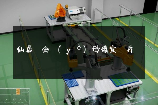仙居縣企業(yè)形像宣傳片