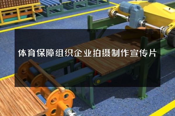 体育保障组织企业拍摄制作宣传片