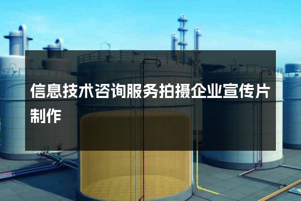 信息技术咨询服务拍摄企业宣传片制作