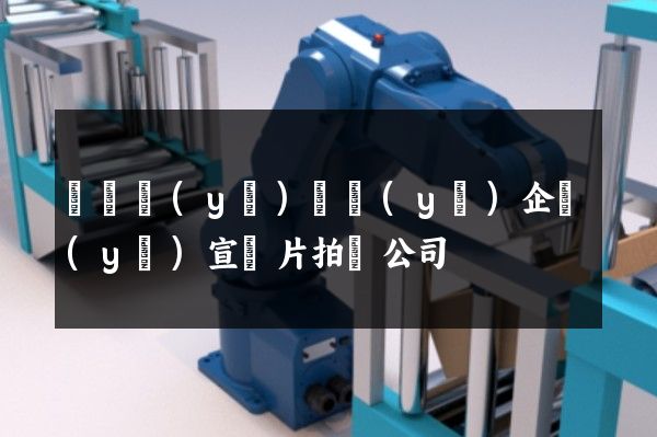 倉儲業(yè)專業(yè)企業(yè)宣傳片拍攝公司