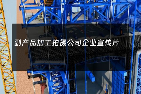 副产品加工拍摄公司企业宣传片