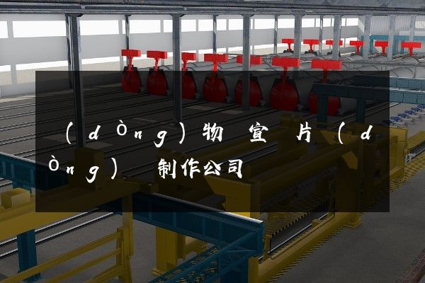 動(dòng)物園宣傳片動(dòng)畫制作公司
