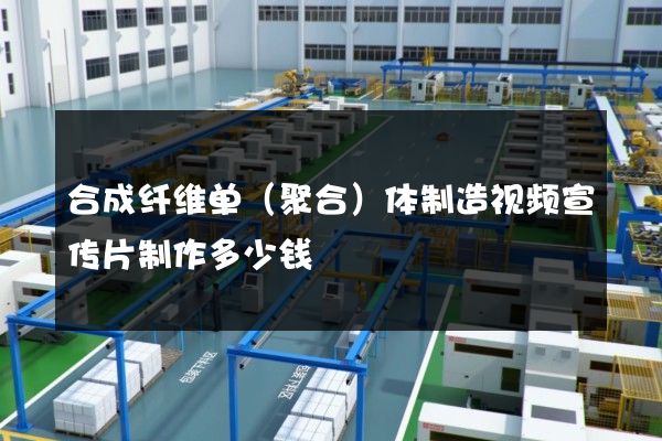 合成纤维单（聚合）体制造视频宣传片制作多少钱