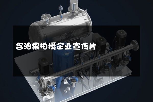 含油果拍摄企业宣传片