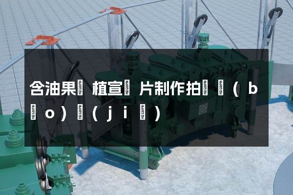 含油果種植宣傳片制作拍攝報(bào)價(jià)
