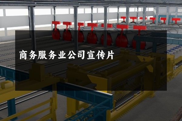 商务服务业公司宣传片