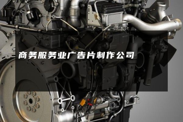 商务服务业广告片制作公司