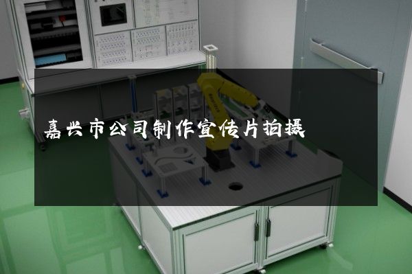 嘉兴市公司制作宣传片拍摄