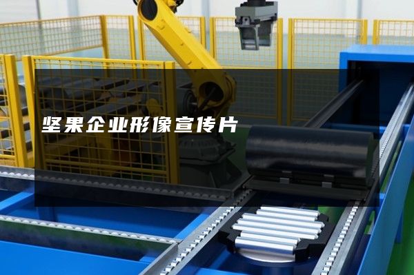 坚果企业形像宣传片