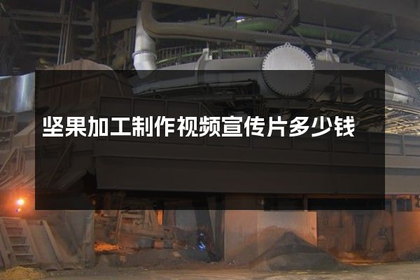 坚果加工制作视频宣传片多少钱