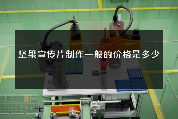 坚果宣传片制作一般的价格是多少