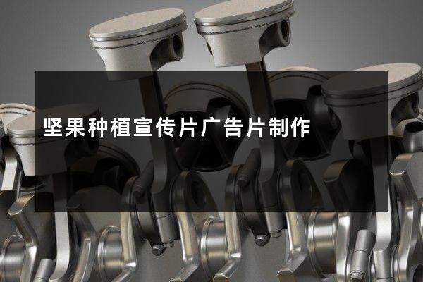 坚果种植宣传片广告片制作
