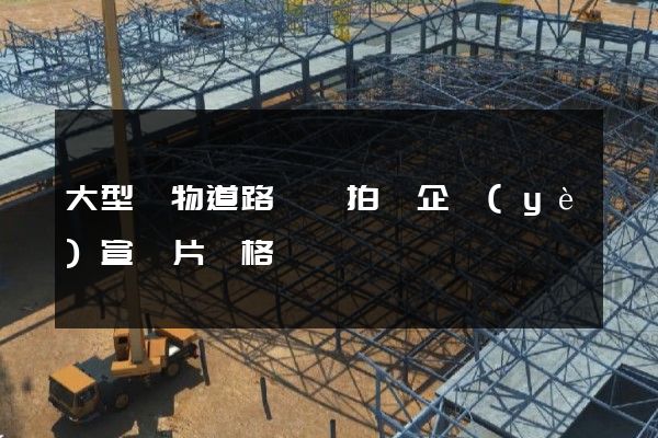 大型貨物道路運輸拍攝企業(yè)宣傳片價格