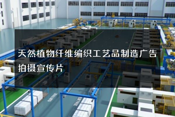 天然植物纤维编织工艺品制造广告拍摄宣传片
