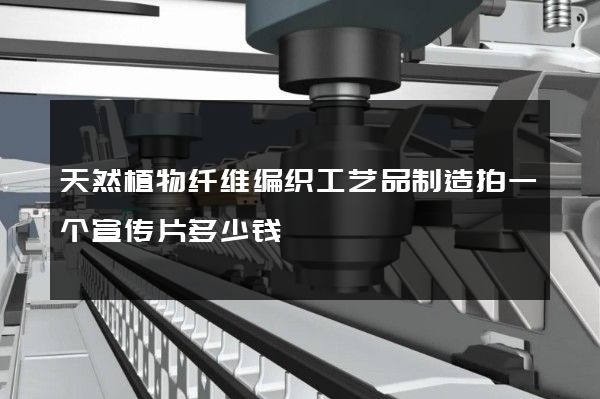 天然植物纤维编织工艺品制造拍一个宣传片多少钱