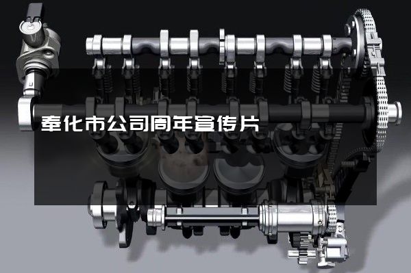奉化市公司周年宣传片