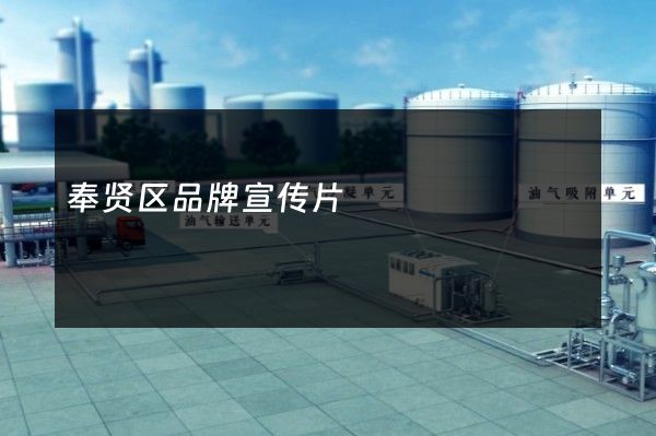 奉贤区品牌宣传片