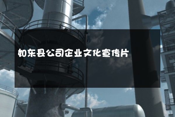 如东县公司企业文化宣传片