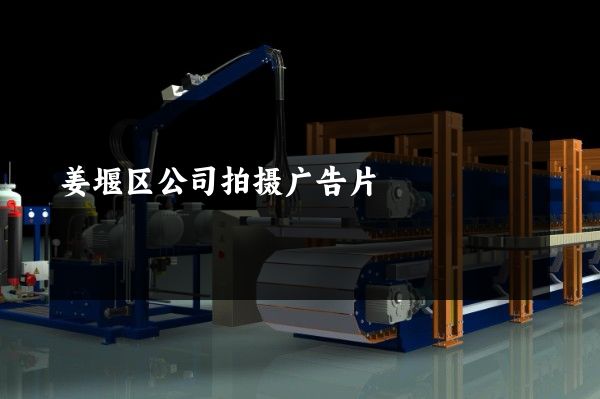 姜堰区公司拍摄广告片