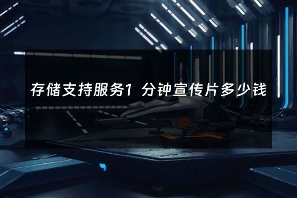 存储支持服务1分钟宣传片多少钱
