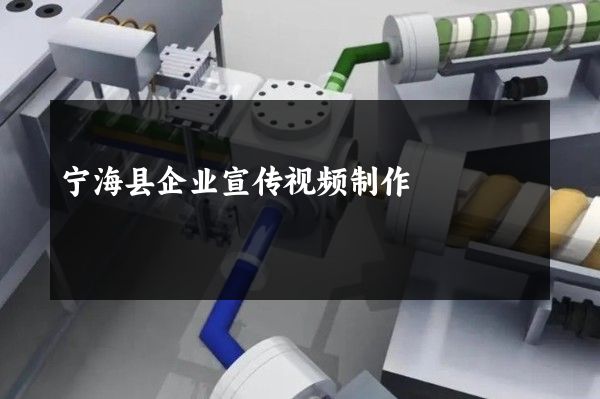 宁海县企业宣传视频制作