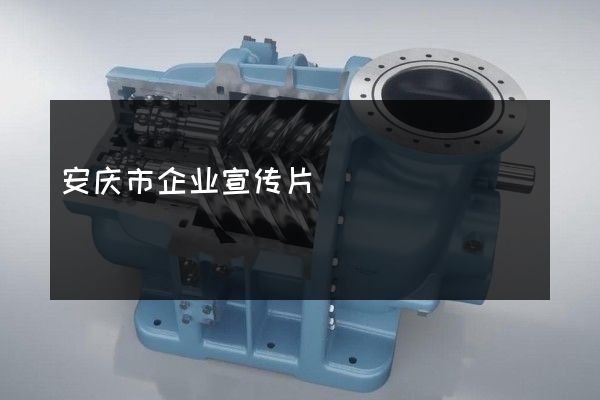 安庆市企业宣传片