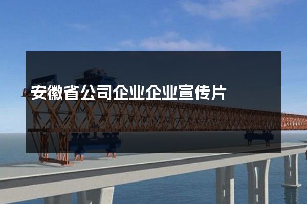 安徽省公司企业企业宣传片