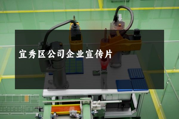 宜秀区公司企业宣传片