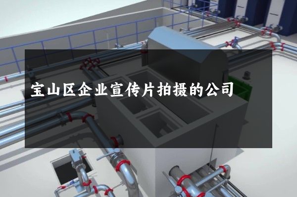 宝山区企业宣传片拍摄的公司