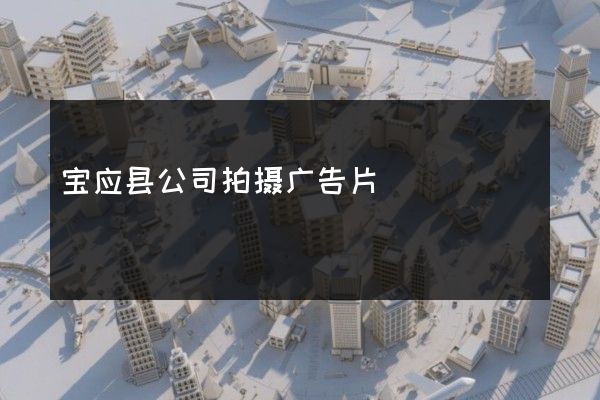 宝应县公司拍摄广告片