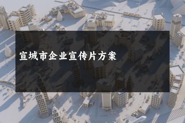 宣城市企业宣传片方案
