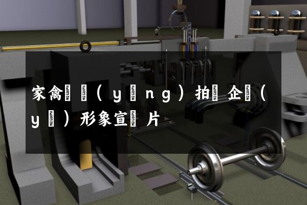 家禽飼養(yǎng)拍攝企業(yè)形象宣傳片