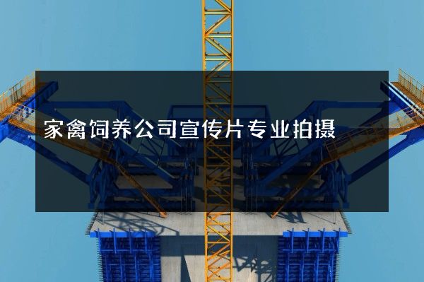 家禽饲养公司宣传片专业拍摄