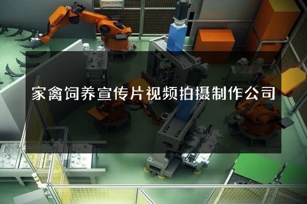 家禽饲养宣传片视频拍摄制作公司