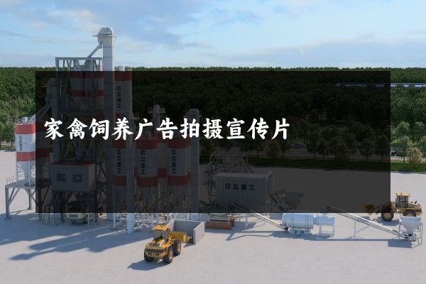 家禽饲养广告拍摄宣传片