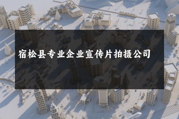 宿松县专业企业宣传片拍摄公司