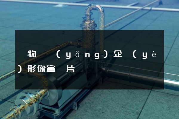 寵物飼養(yǎng)企業(yè)形像宣傳片