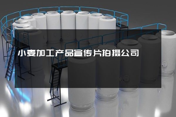 小麦加工产品宣传片拍摄公司
