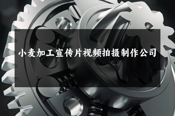 小麦加工宣传片视频拍摄制作公司