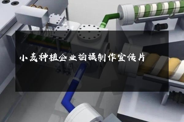 小麦种植企业拍摄制作宣传片