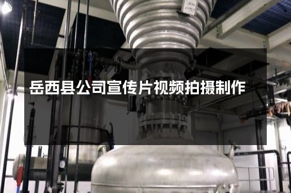 岳西县公司宣传片视频拍摄制作