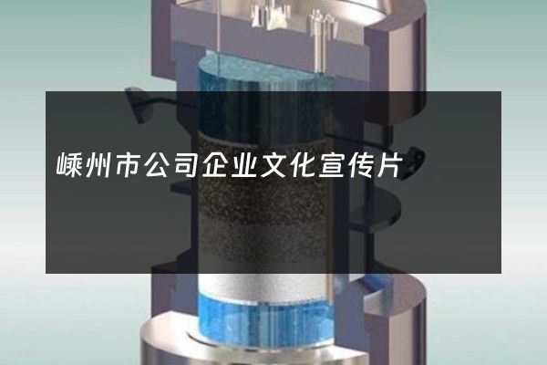 嵊州市公司企业文化宣传片